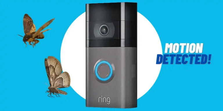 Prevent Bugs from Setting Off Ring Doorbell